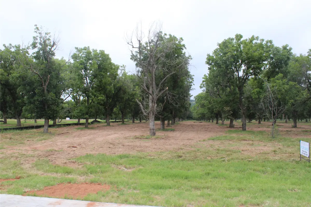 3173 E Landings S, Granbury, TX 76049 - #1