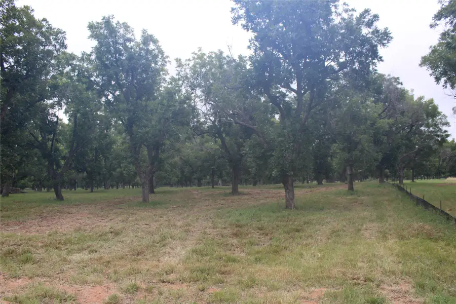 3173 E Landings S, Granbury, TX 76049 - #3