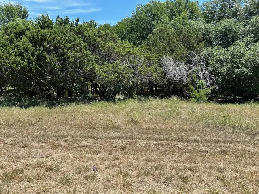 13001 Crestwood Drive, Whitney, TX 76692 - #3