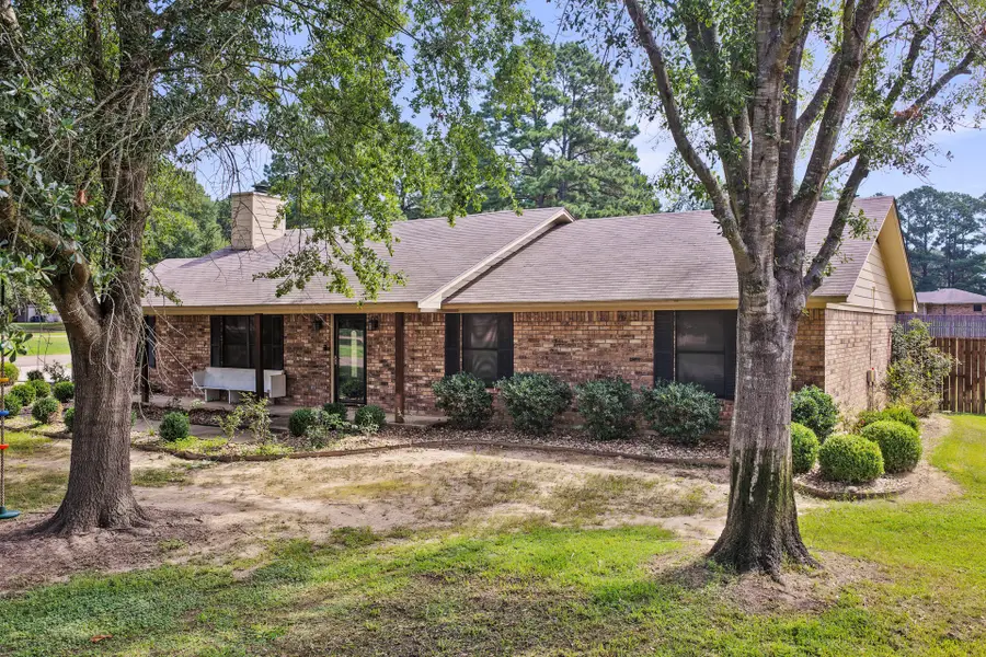 419 County Road 4164, Pittsburg, TX 75686 - #2