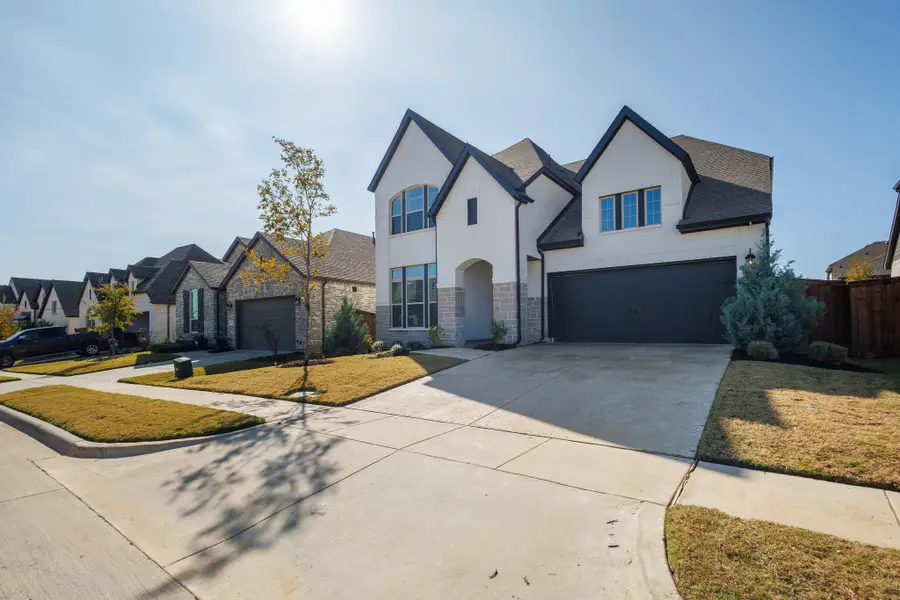 4029 Crepe Myrtle Street, Aubrey, TX 76227 - #2
