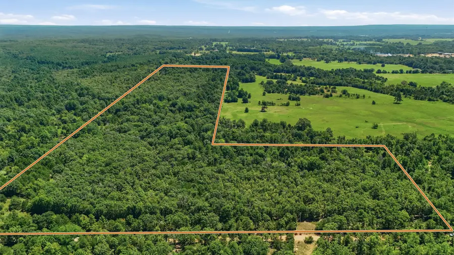 0001 Rattan Trail, Antlers, OK 74523 - #2