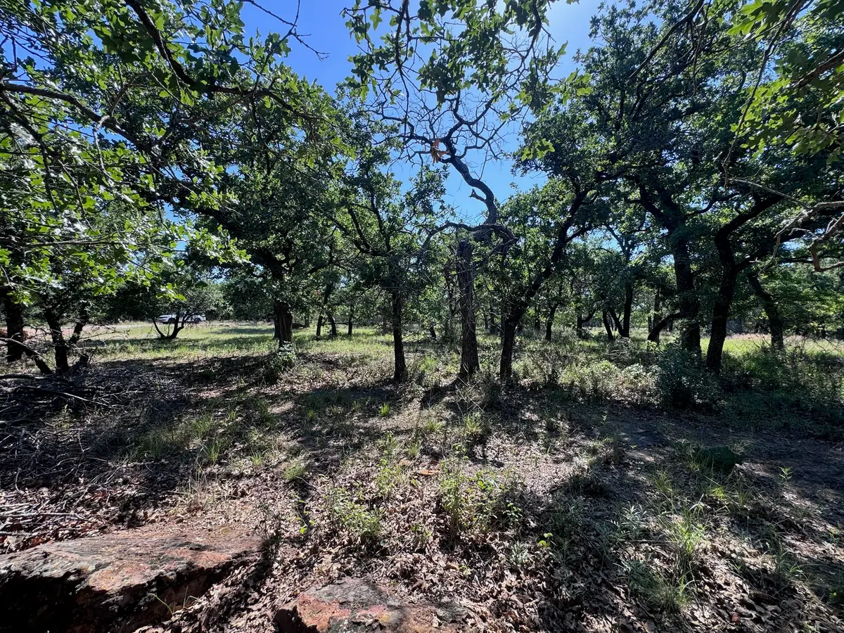 A10 Glenhollow Drive, Gordon, TX 76453 - #1