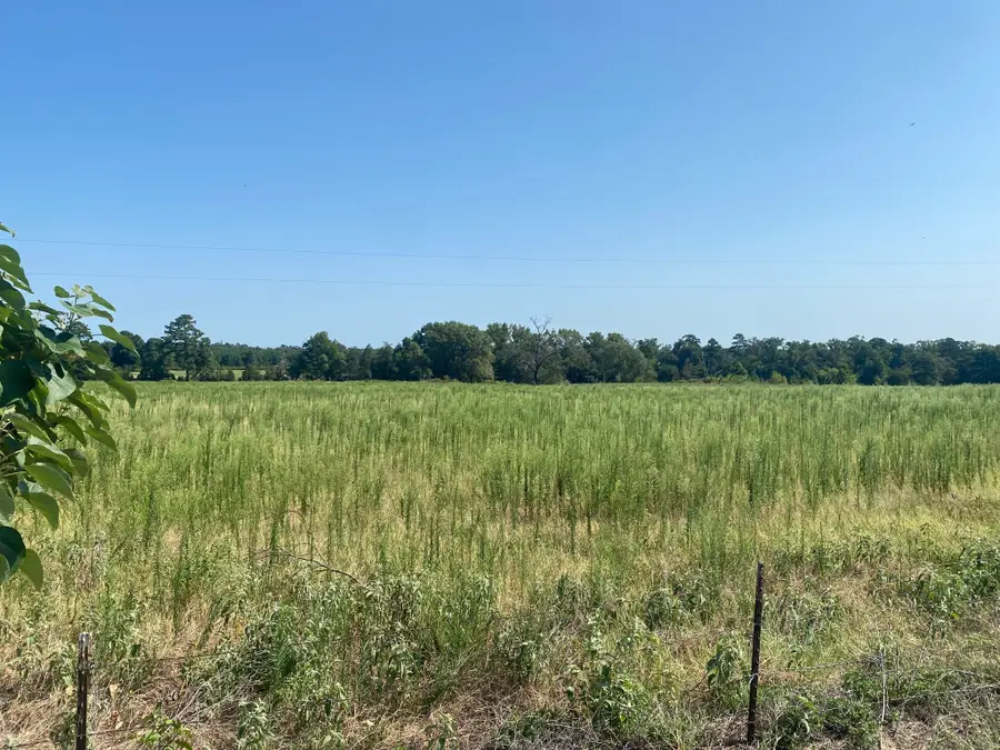 000 Cr 1323, Pittsburg, TX 75686 - #3
