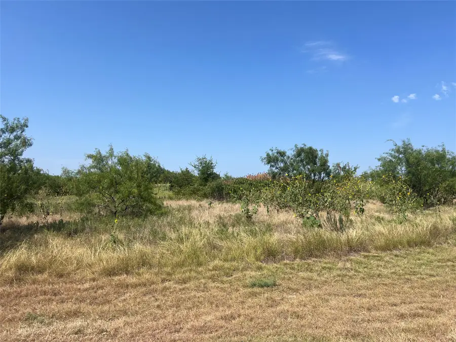1090 Pheasant Court, Possum Kingdom Lake, TX 76449 - #3