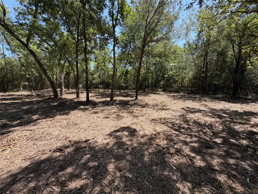 TBD39ac SW Co Rd 2340, Richland, TX 76681 - #2