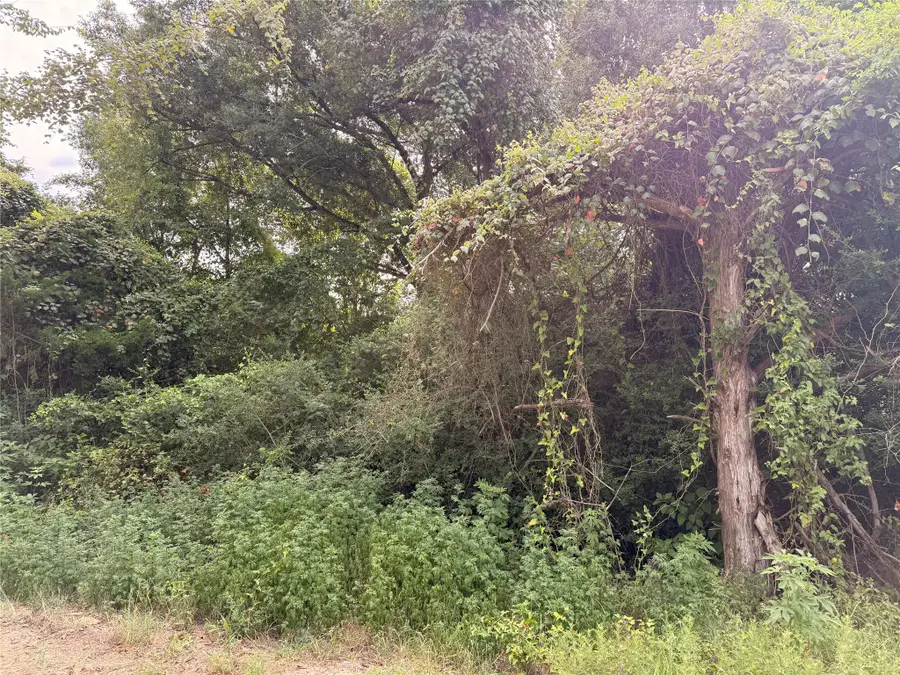 TBD Fcr 531, Fairfield, TX 75840 - #2