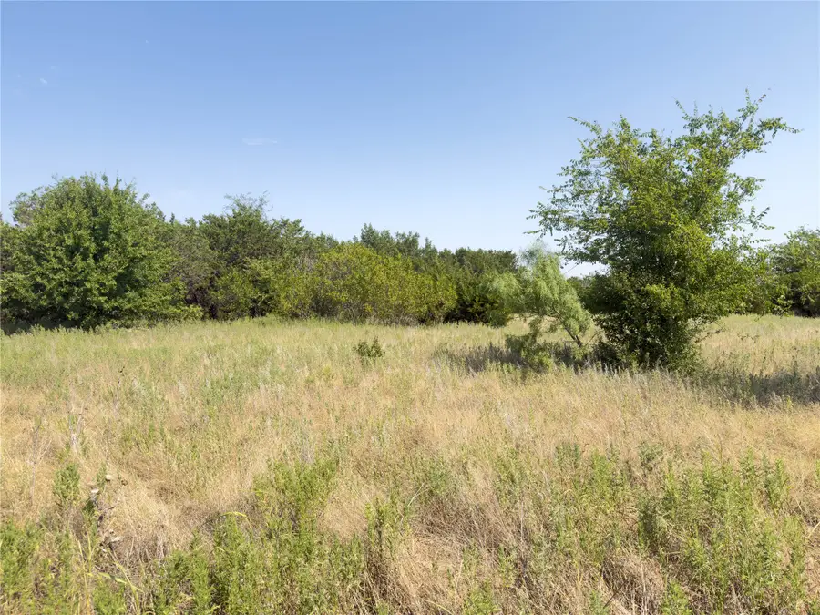 1001 Enchanted Rock Court, Graford, TX 76449 - #2
