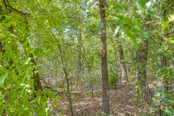 1125 Crazy Horse Trail, Burleson, TX 76028