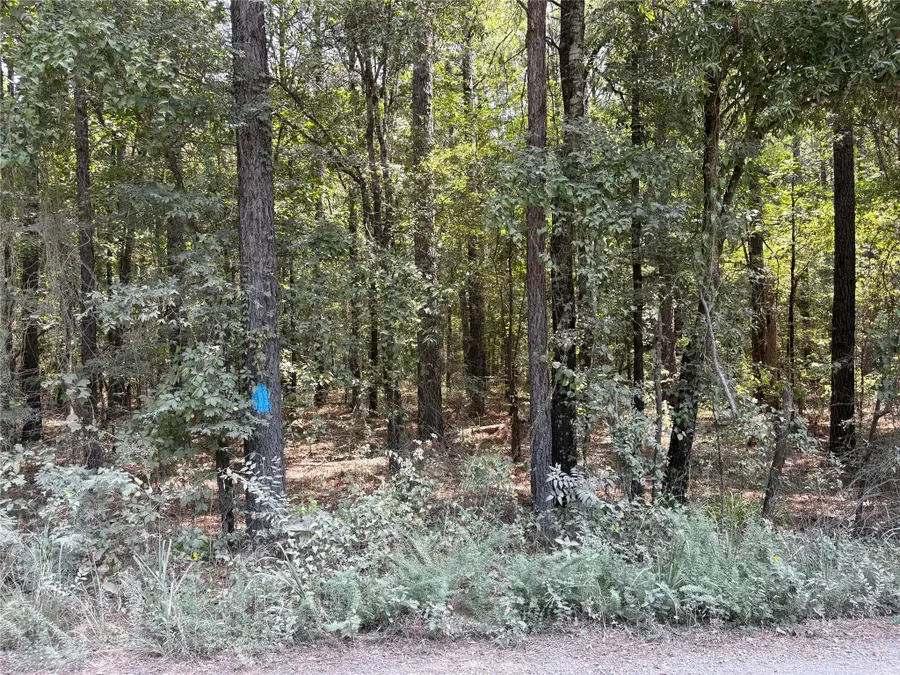 0 Moran Street, Haughton, LA 71037 - #2
