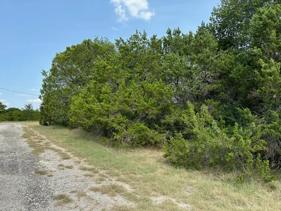 18034 & 18035 & 18036 S Southhill Drive, Whitney, TX 76692 - #3