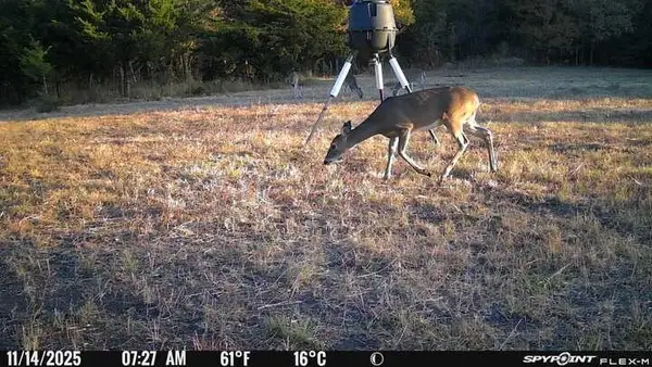 0000 County Road 4519, Wolfe City, TX 75496