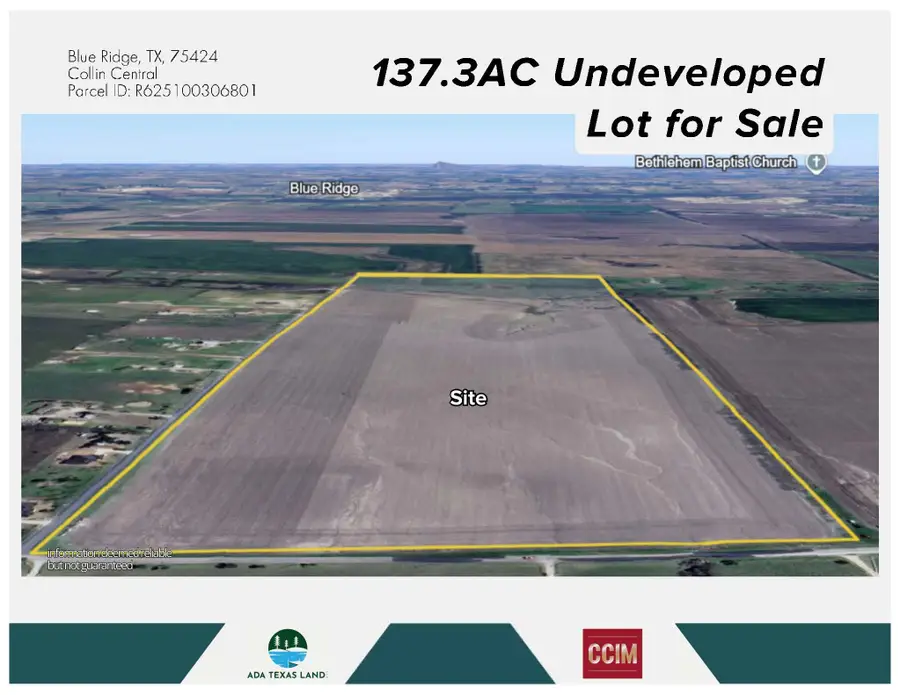 TBD 137.3AC County Road 832, Blue Ridge, TX 75424 - #2
