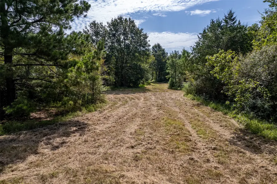 TBD County Road 2115, Troup, TX 75789 - #3