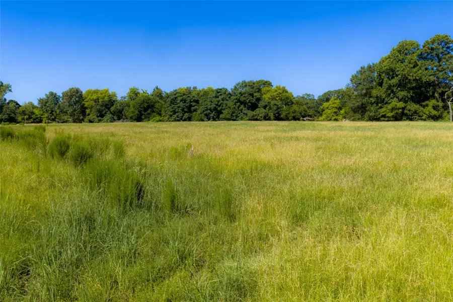 00 Tom Eubanks Rd, Gladewater, TX 75662 - #2