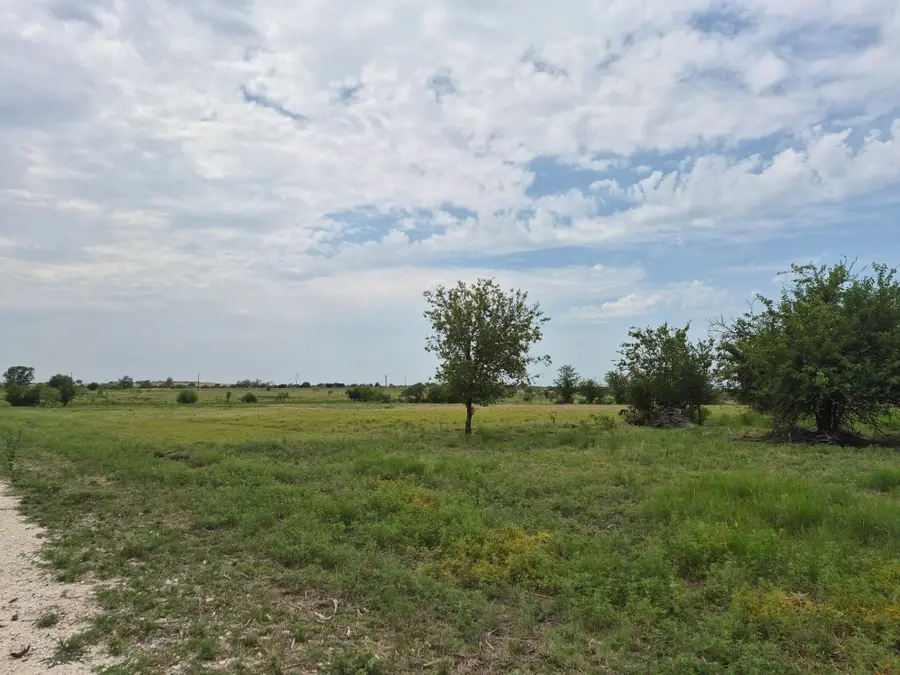 LOT 38 Pr 4311, Jonesboro, TX 76538 - #2