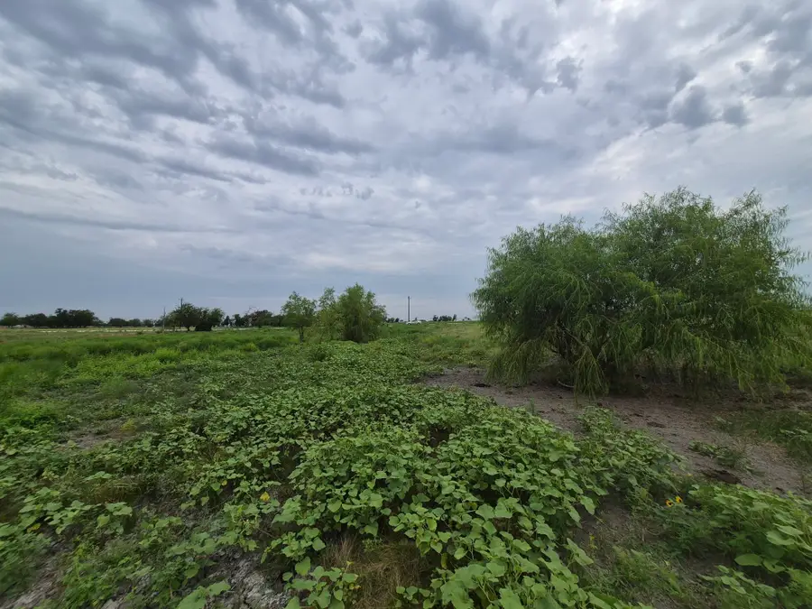 LOT 38 Pr 4311, Jonesboro, TX 76538 - #3