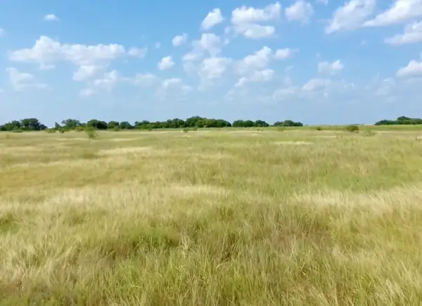 5393 Cr 4102, Kaufman, TX 75142