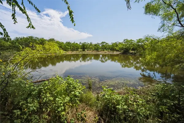 480 Acres Tucker Road, Perrin, TX 76486