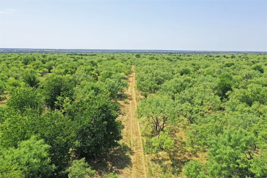 480 Acres Tucker Road, Perrin, TX 76486 - #2