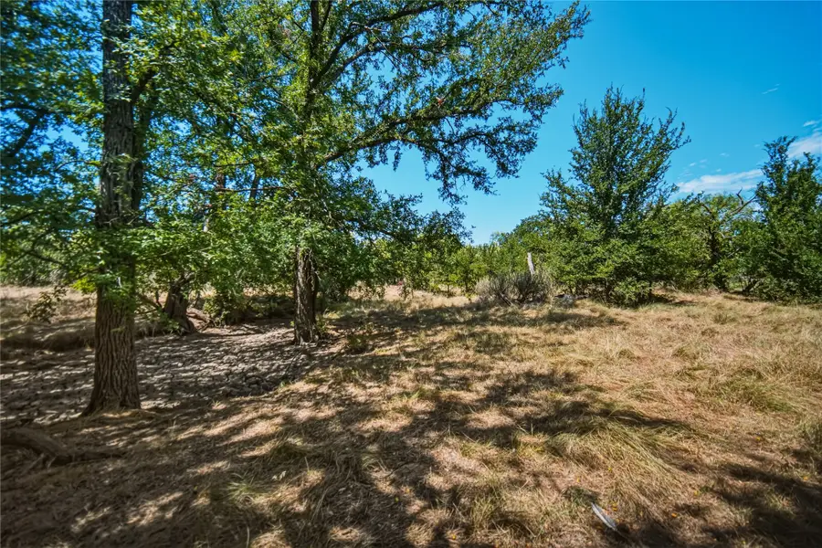 480 Acres Tucker Road, Perrin, TX 76486 - #3