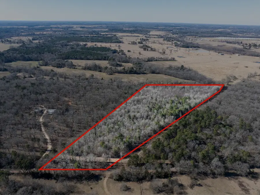 TBD County Road 4246, Pittsburg, TX 75686 - #2