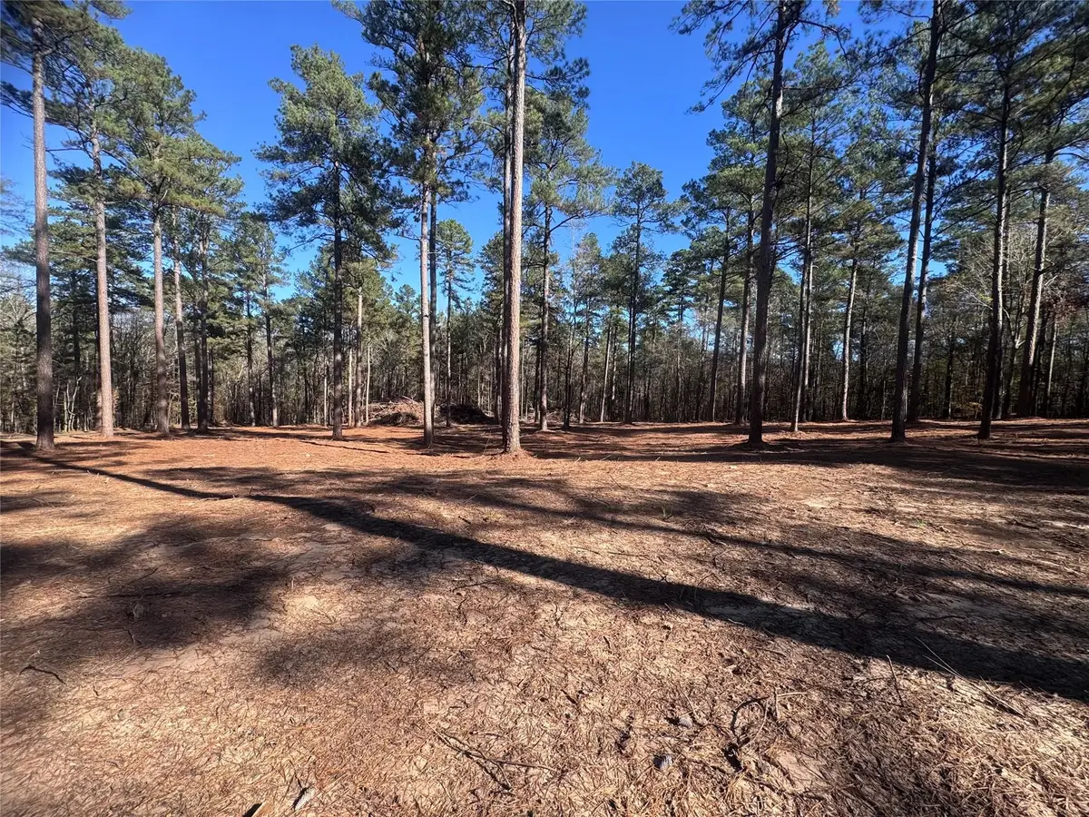 0 Cotton Lane, Minden, LA 71055 - #1