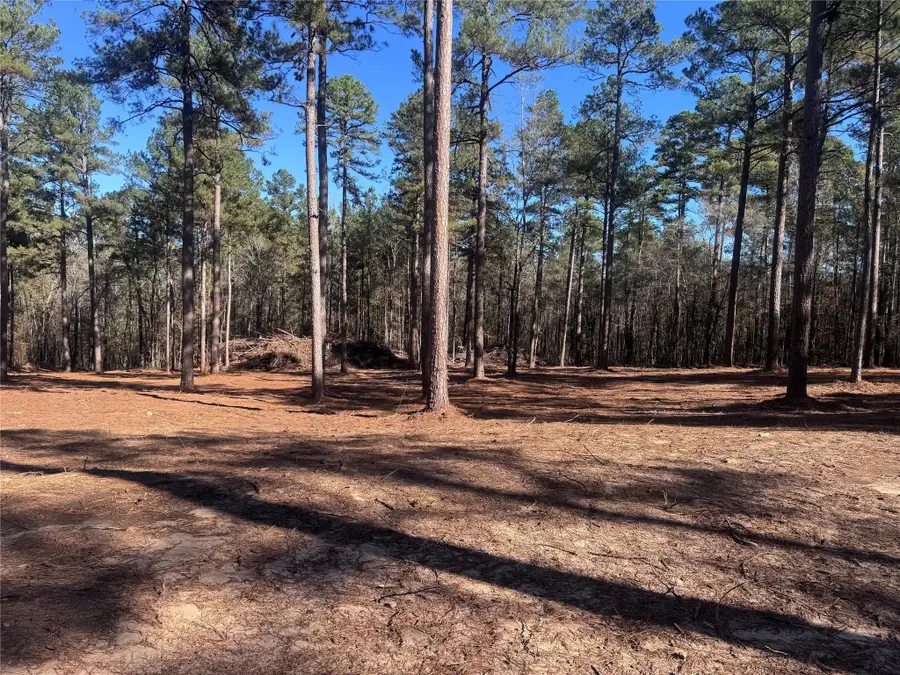 0 Cotton Lane, Minden, LA 71055 - #3