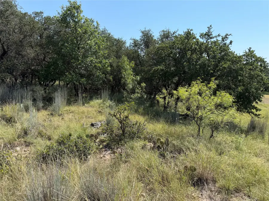 TBD Lot 974 Lake Point Drive, May, TX 76857 - #2
