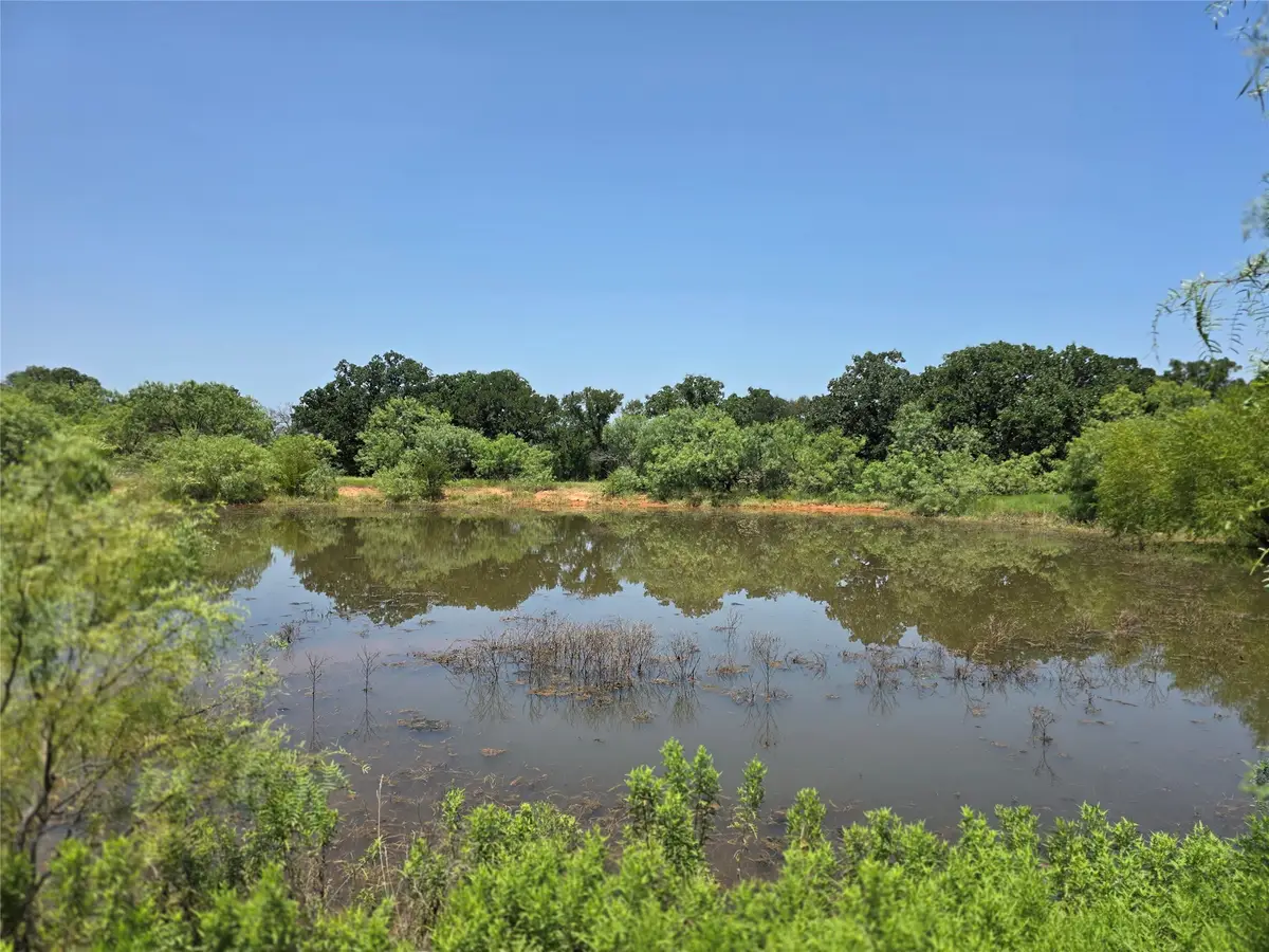 450 County Road 250, Gustine, TX 76455 - #1