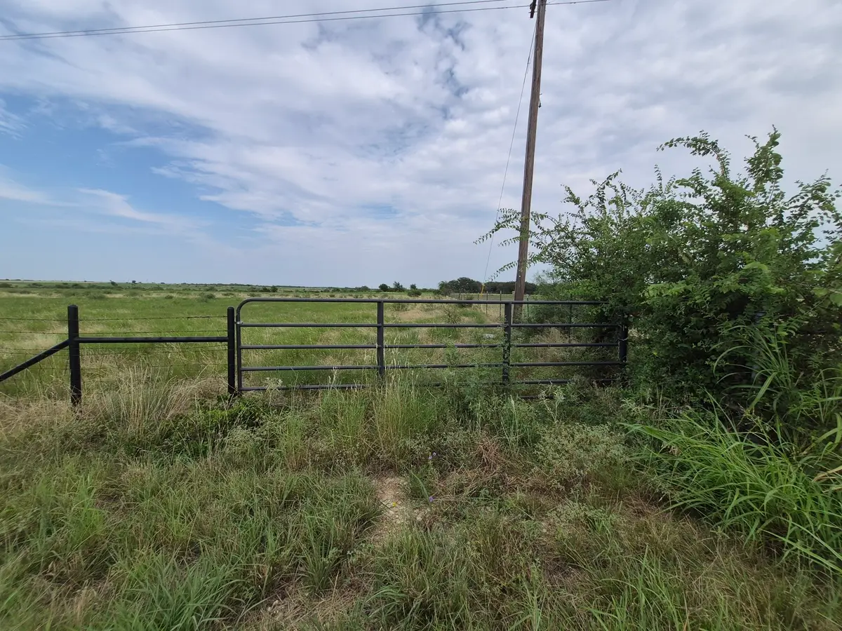 LOT 1 County Road 627, Indian Gap, TX 76531 - #1