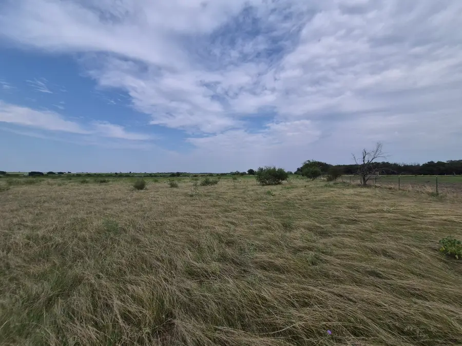 LOT 1 County Road 627, Indian Gap, TX 76531 - #2