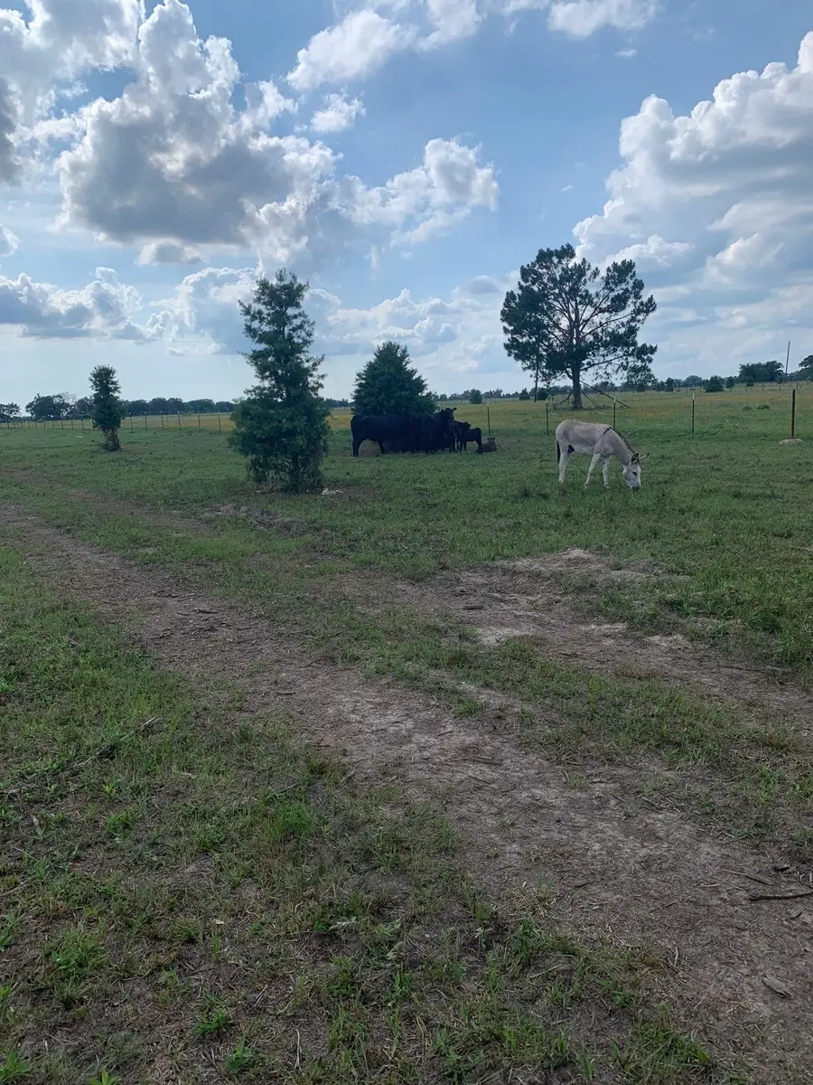 10658 County Road 350, Terrell, TX 75160 - #3