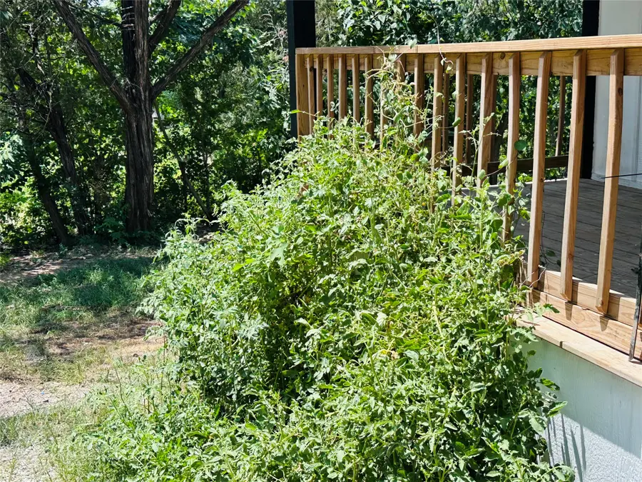 3006 Wagon Train Trail, Granbury, TX 76048 - #2