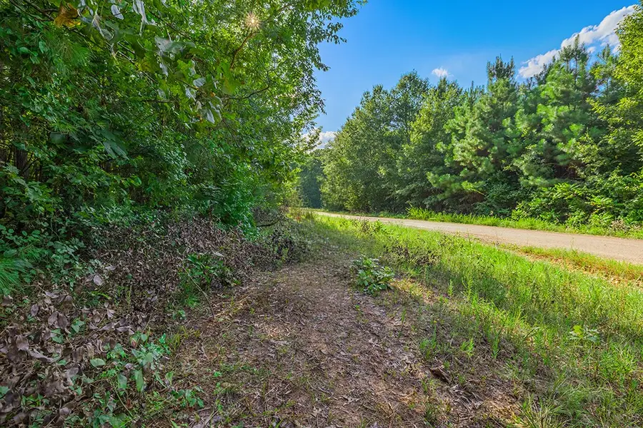 2346 County Road 4284, Simms, TX 75574 - #2