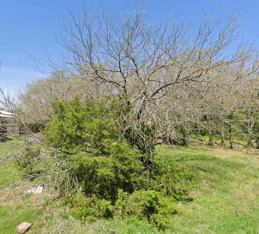 4008 Nebraska Trail, Granbury, TX 76048 - #3