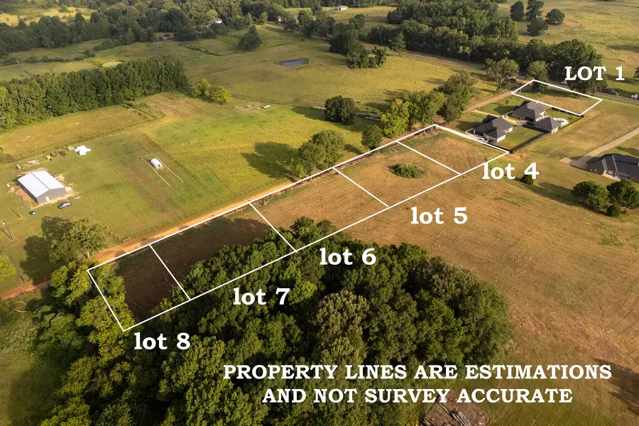 121 County Road 3421 (lot 1), Bullard, TX 75757 - #2
