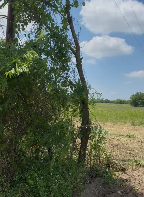 Lot 1 County Road 308, Terrell, TX 75161