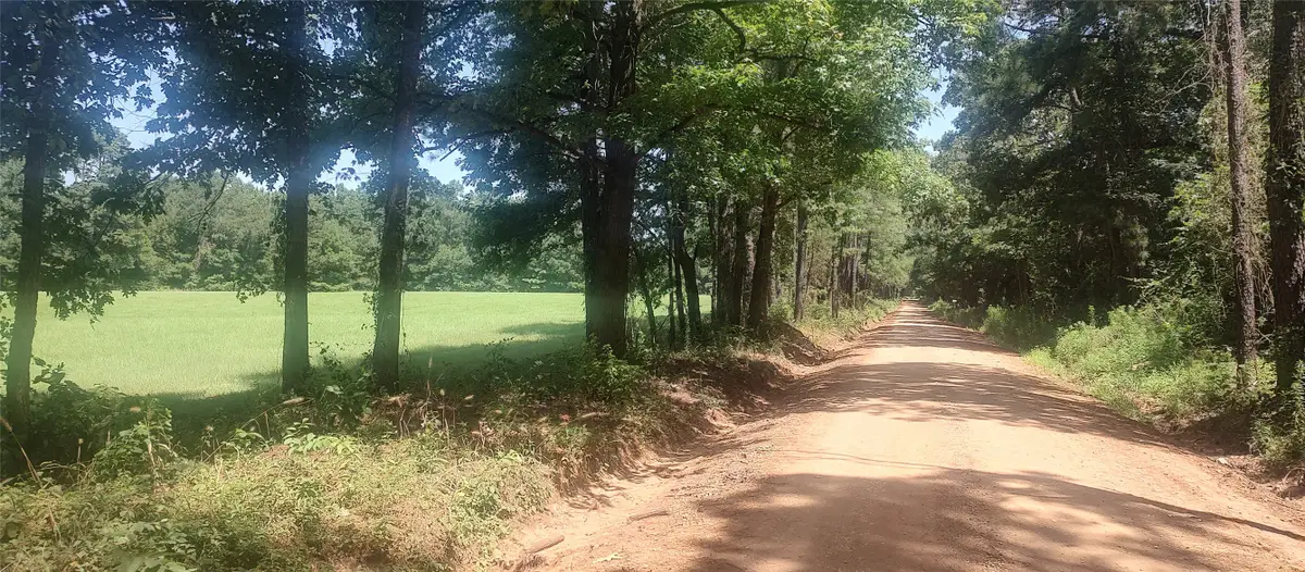 381 County Road 4688, Tenaha, TX 75974 - #1
