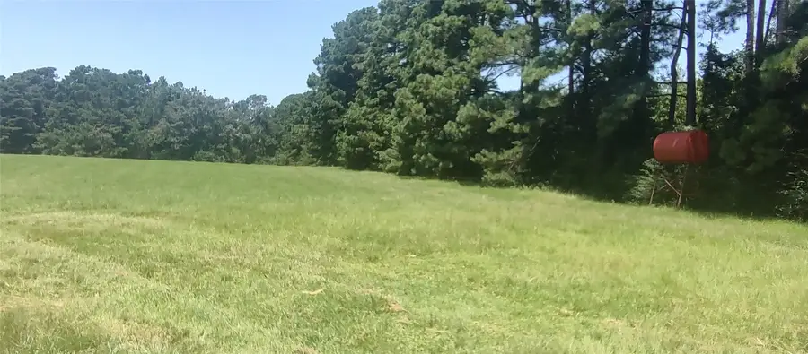 381 County Road 4688, Tenaha, TX 75974 - #3