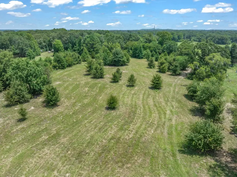 000 County Road 3520, Brownsboro, TX 75756 - #2