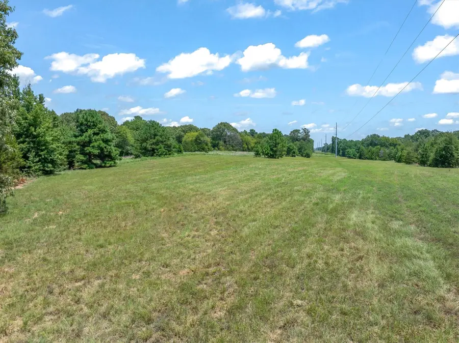 000 County Road 3520, Brownsboro, TX 75756 - #3