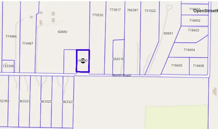 TBD Borth Road, Sanger, TX 76266 - #2