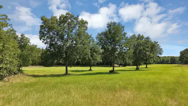 415 Southwood Street, Bowie, TX 76230