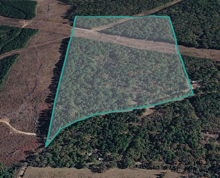 TBD40 Cr 4244, Pittsburg, TX 75686 - #3