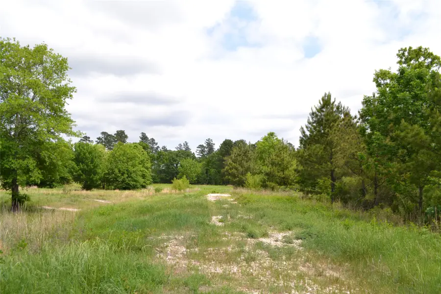 TBD S Hwy 69, Alba, TX 75410 - #3