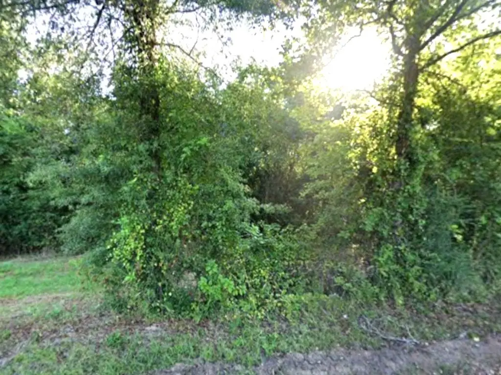 0 County Rd 224, Carthage, TX 75633 - #1
