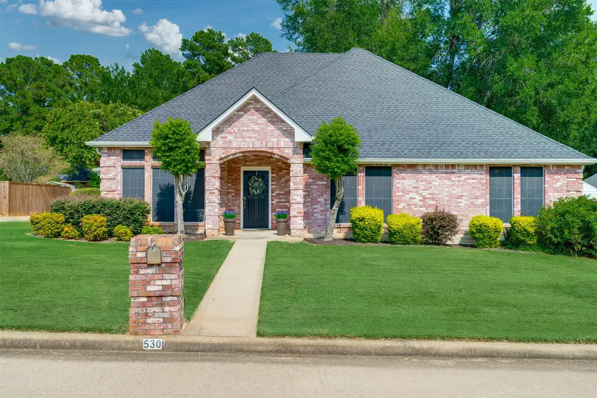 530 Cedar Creek, Reno, TX 75462 - #1