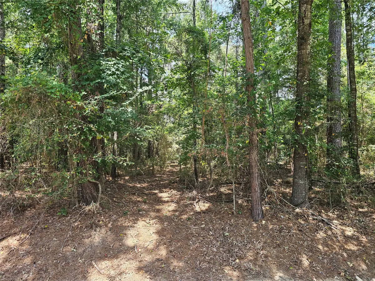 8222 Waterwood Drive, Greenwood, LA 71033 - #1