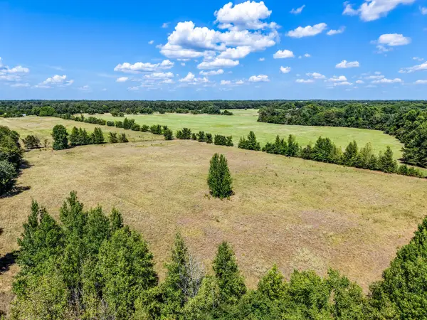 TBD County Road 2331, Como, TX 75431